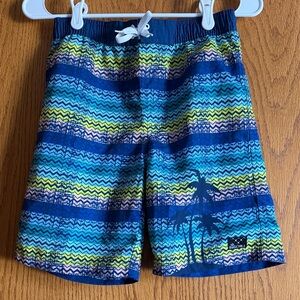 Big Chill Boys Blue Palm Print Swim Trunks | Striped | Quick Dry Board Shorts